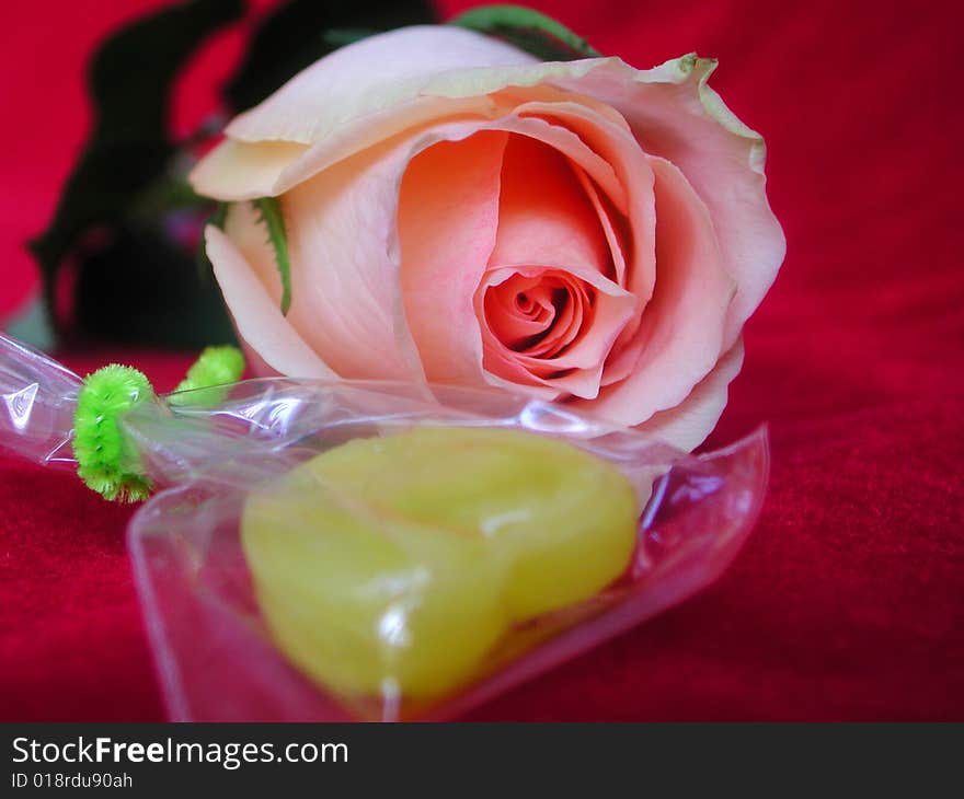 Macro of pink rose and heart shape candy