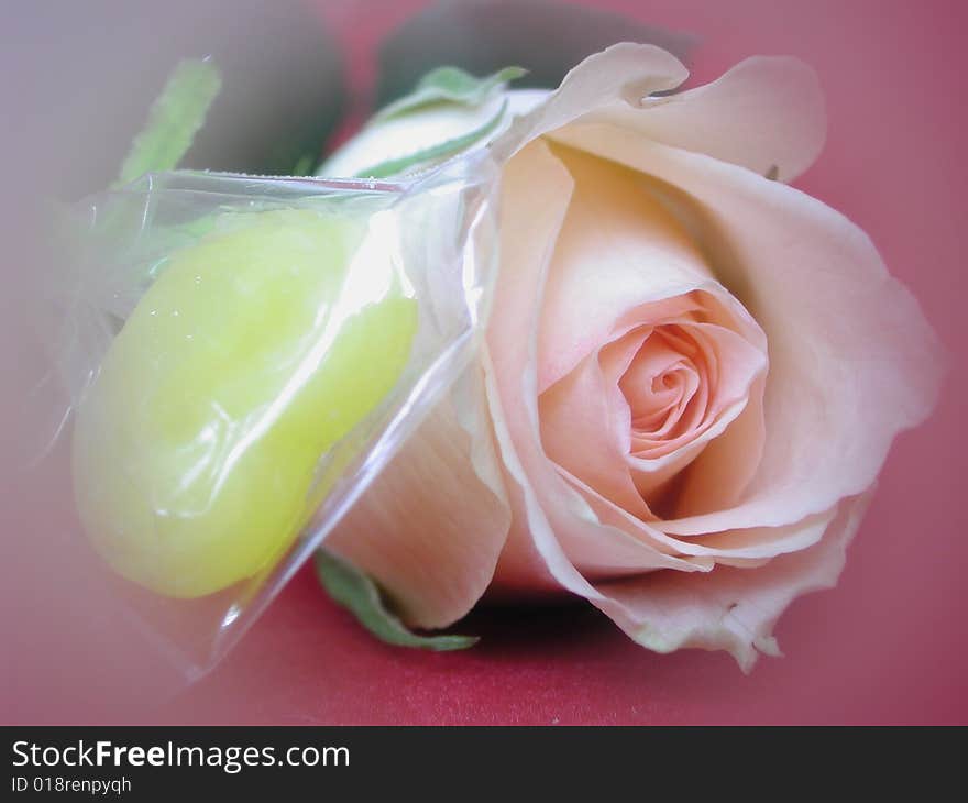 Macro of pink rose and heart shape candy with soft filter. Macro of pink rose and heart shape candy with soft filter