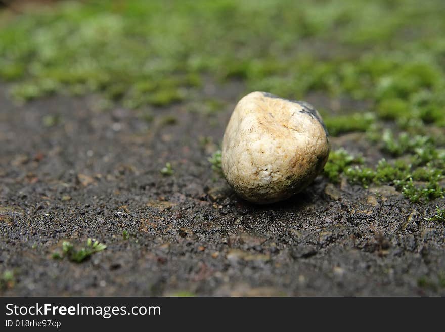 Stone and moss