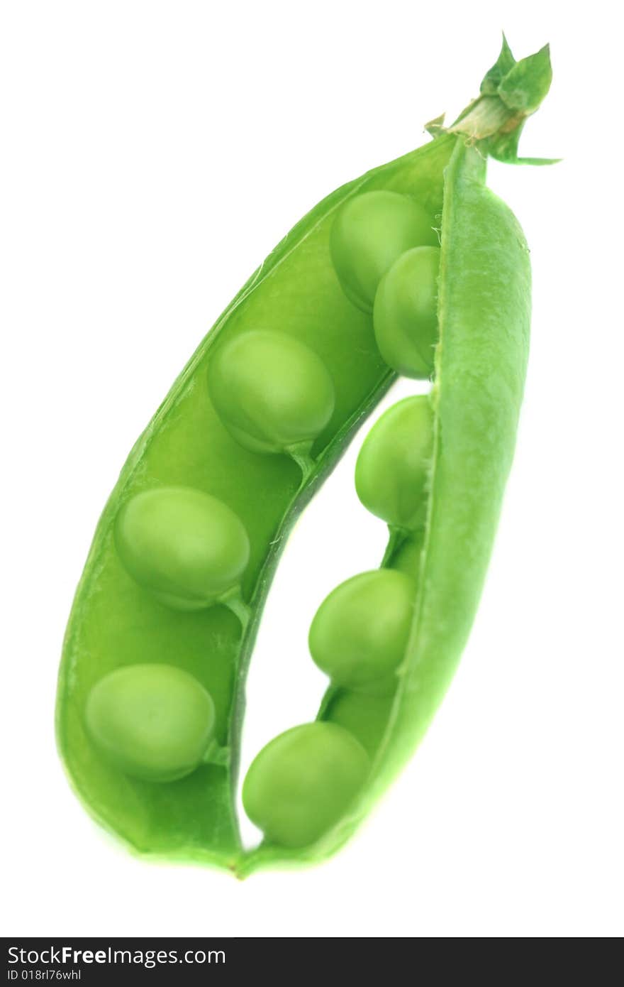 Green pea isolated on a white background. Green pea isolated on a white background.