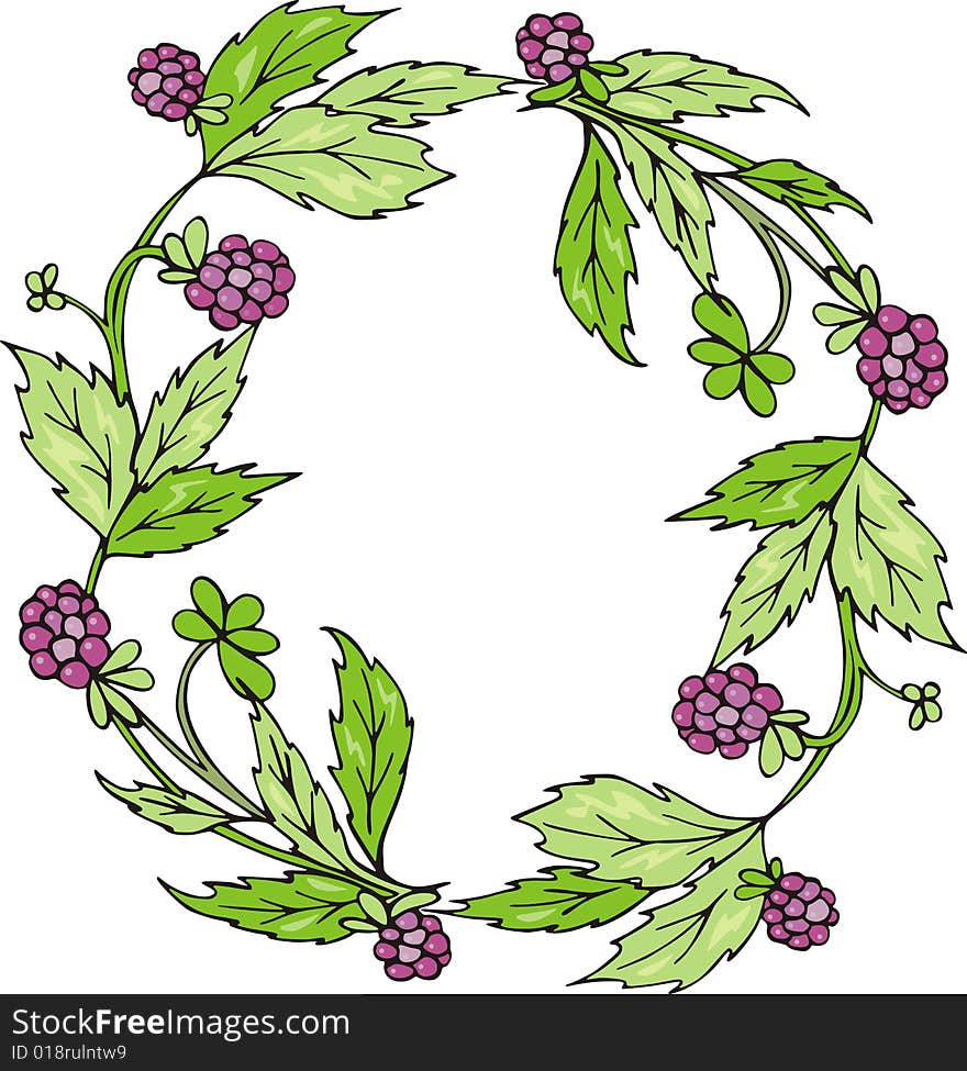 Floral circle frame with blackberries, vector series. Floral circle frame with blackberries, vector series.