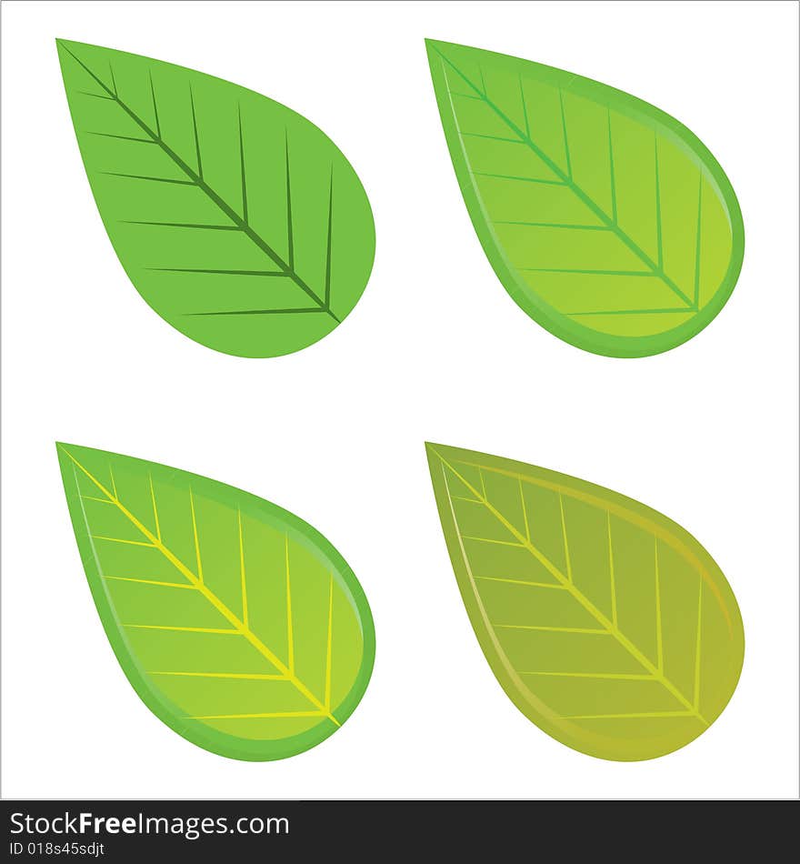 A set of leaves on isolated white background.