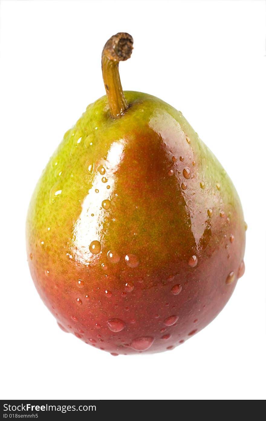 Wet Seckel Pear