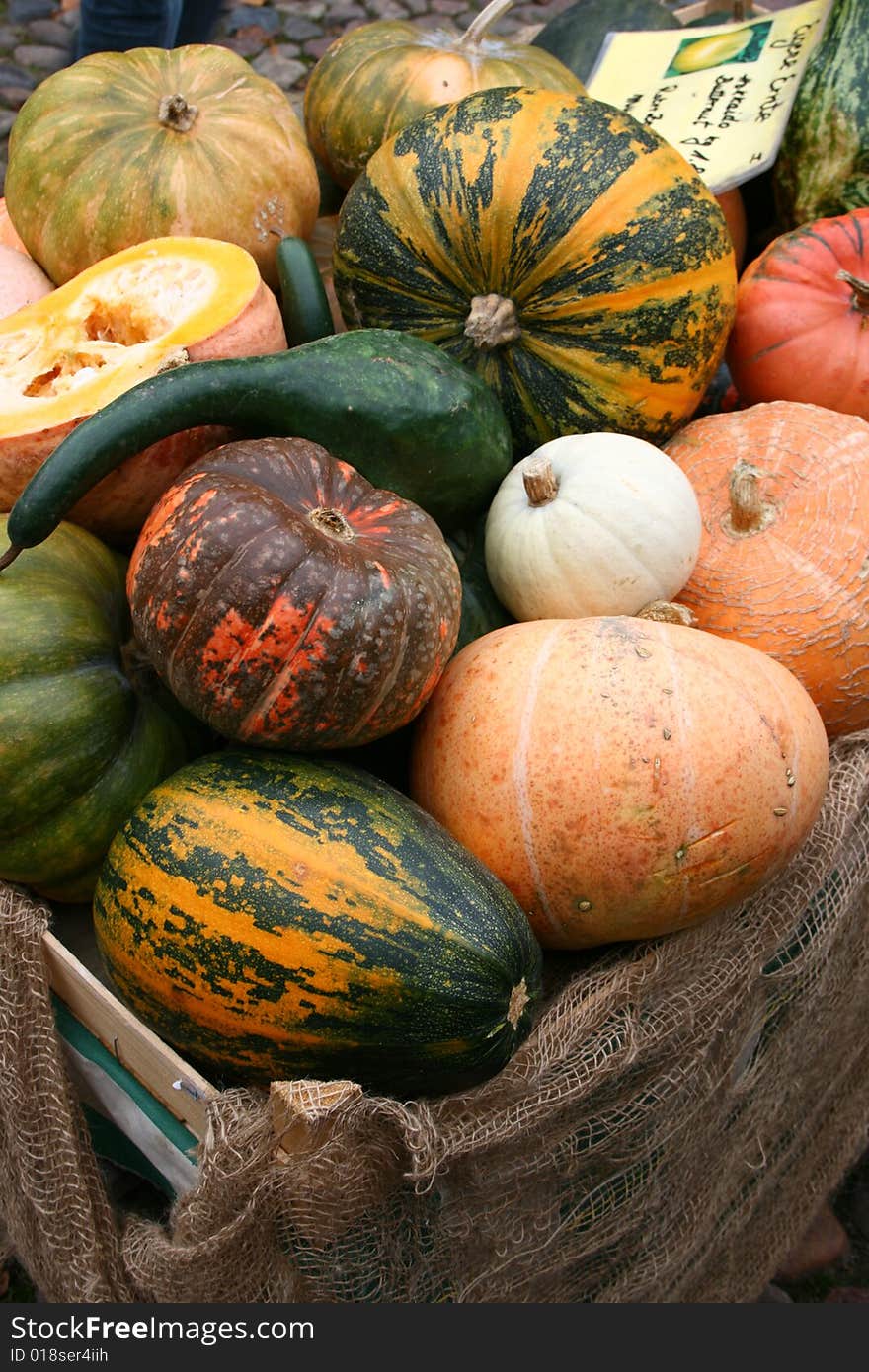 Colourful pumkins ready for sale. Colourful pumkins ready for sale.