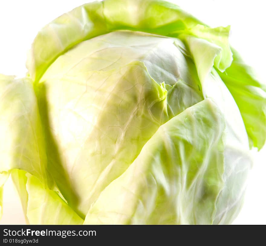 Tasty cabbage on white ground