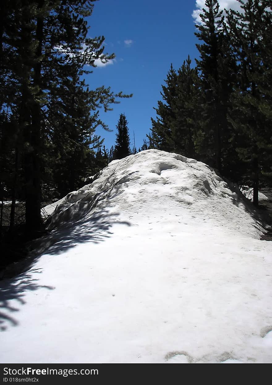 Huhe white snow pile among pine-trees. Huhe white snow pile among pine-trees.