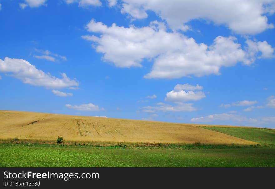 Field landscape with blue sky. Field landscape with blue sky