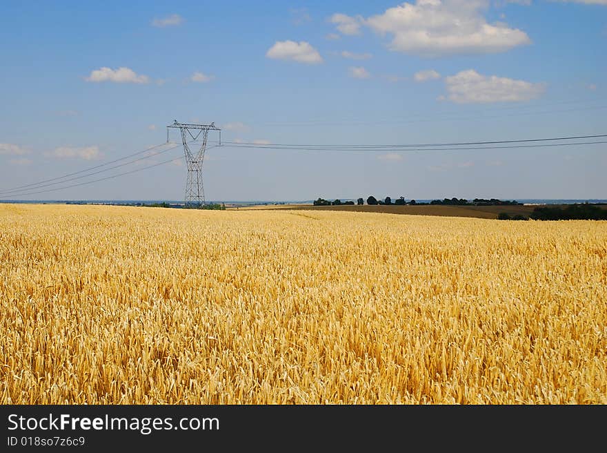 Field landscape with blue sky. Field landscape with blue sky