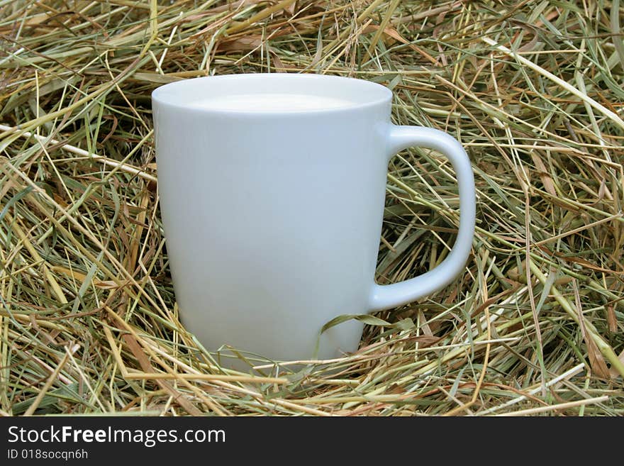 Cup of fresh milk in hay. Cup of fresh milk in hay.