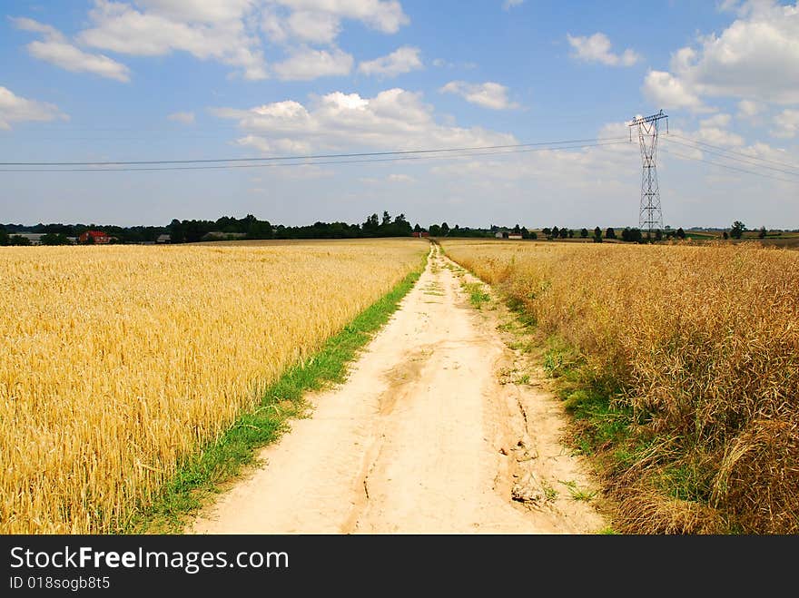 Field landscape with blue sky. Field landscape with blue sky