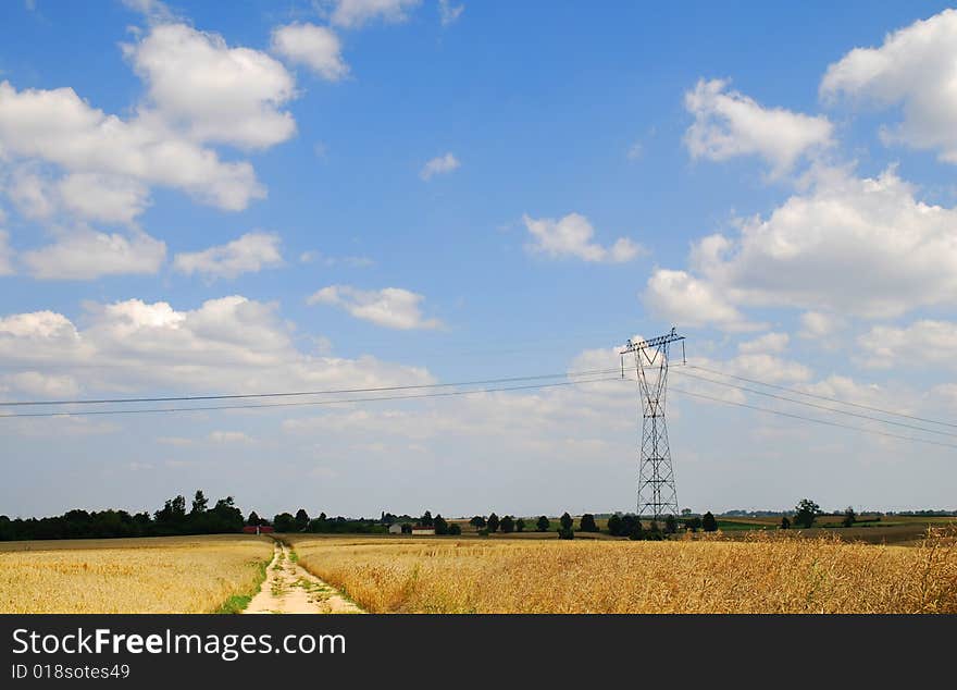 Field landscape with blue sky. Field landscape with blue sky