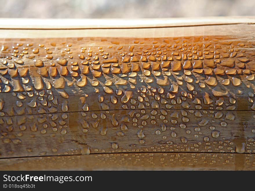 Drips Of Morning Dew On A Wooden Handrail