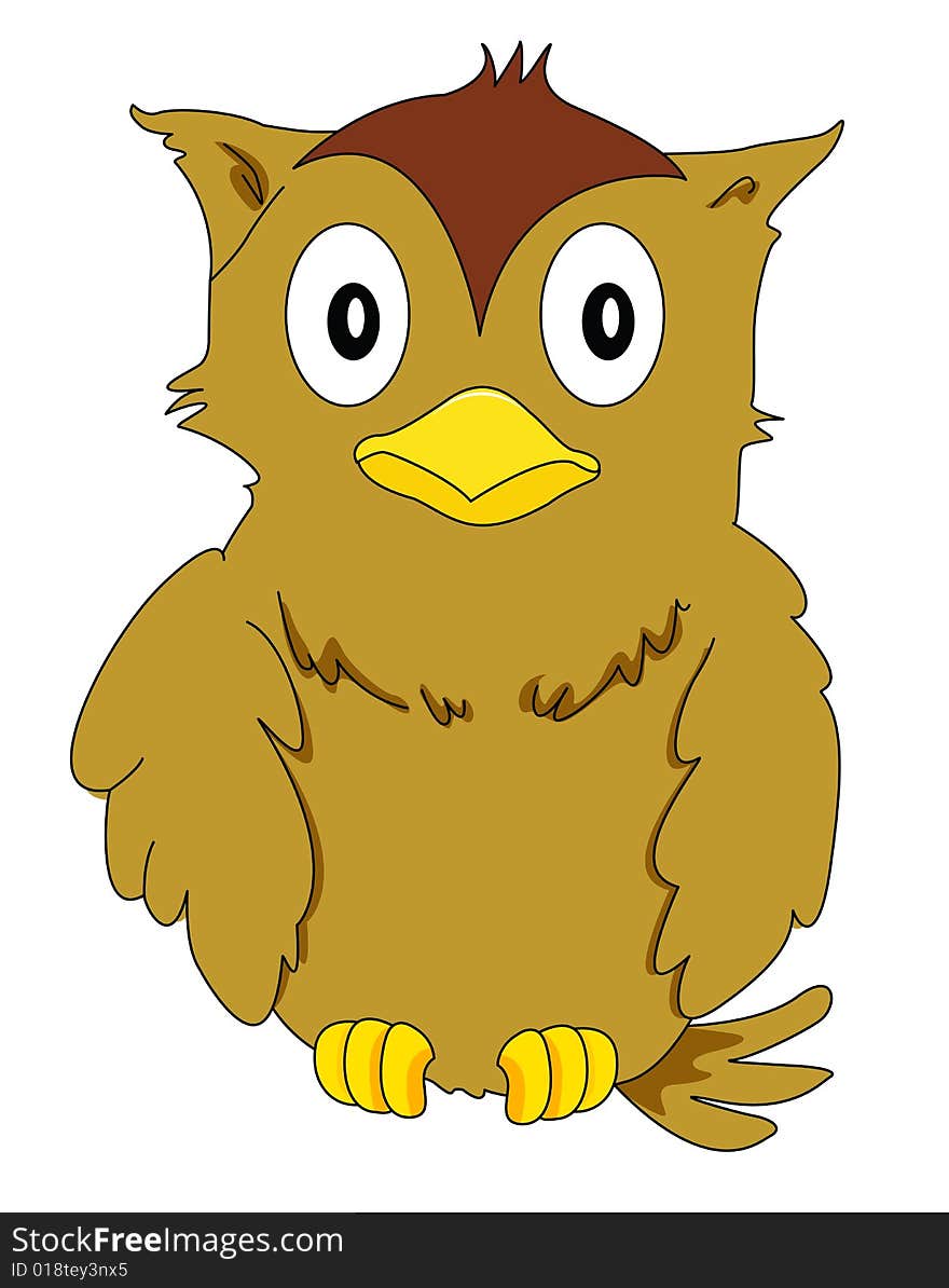 Owl