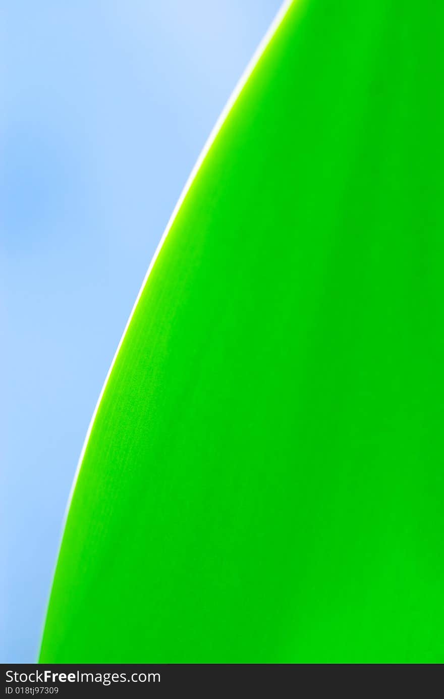 Fresh green leaf and blue sky (blank space for text)