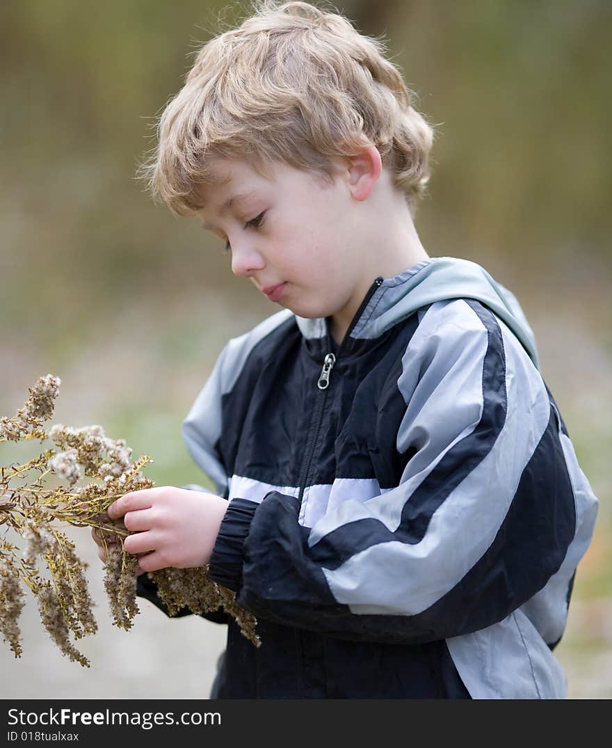 Cute Child Examining Goldenrod Plant