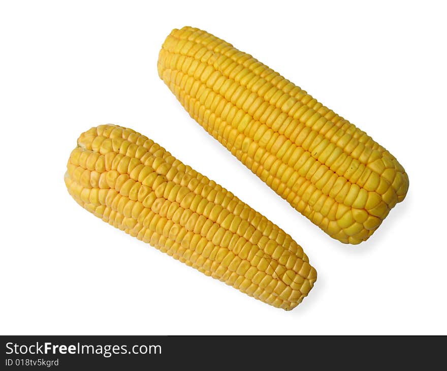 Corn on white background