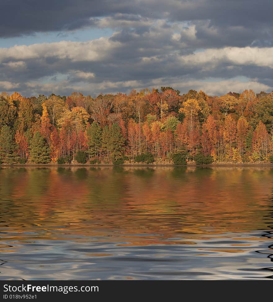 A picture of fall trees and water. A picture of fall trees and water