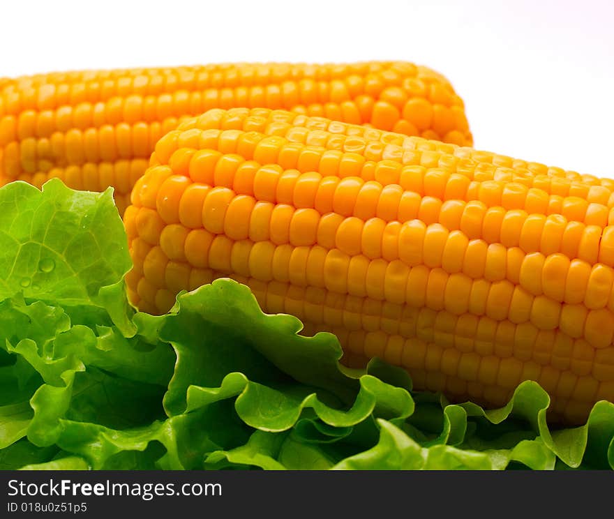 Ears of sweetcorn with leaves salad