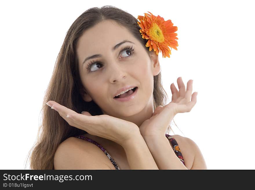 Female with Gerber in hair giving surprising expression on an isolated white background. Female with Gerber in hair giving surprising expression on an isolated white background