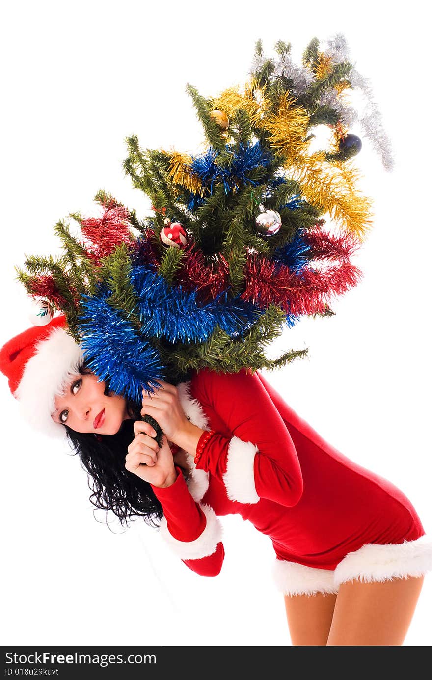 Beautiful young brunette woman carrying a Christmas tree isolated against white background. Beautiful young brunette woman carrying a Christmas tree isolated against white background