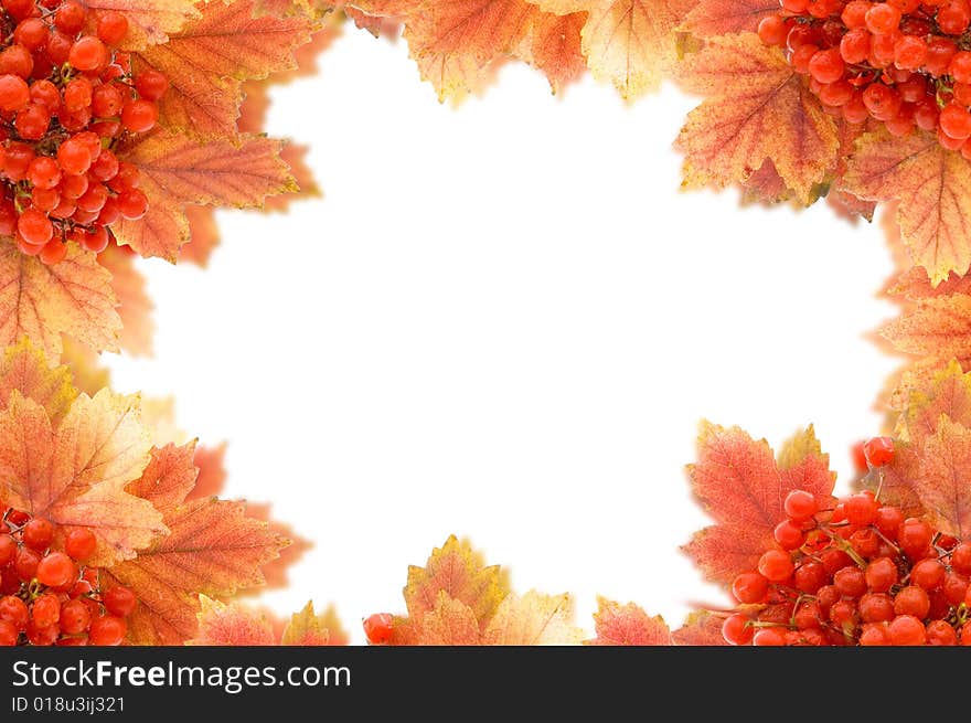 Autumn Background