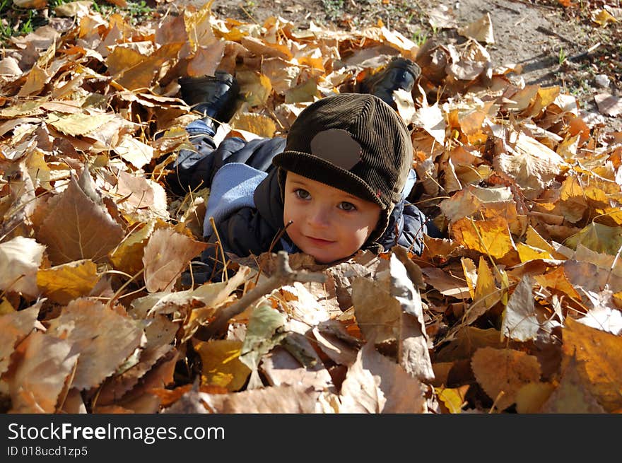 Boy in leaves