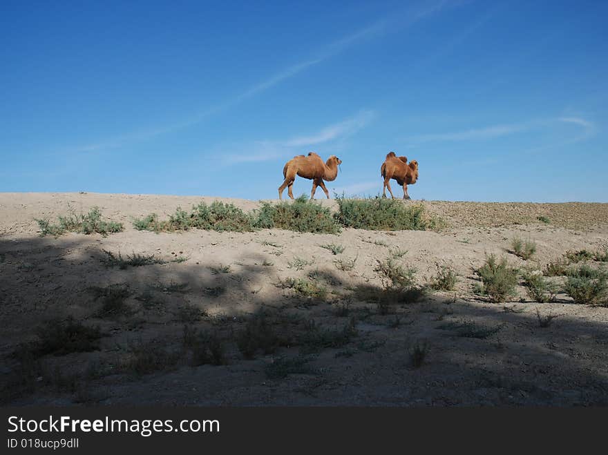 Sentiment of the beautiful scenery. Sentiment of the beautiful scenery