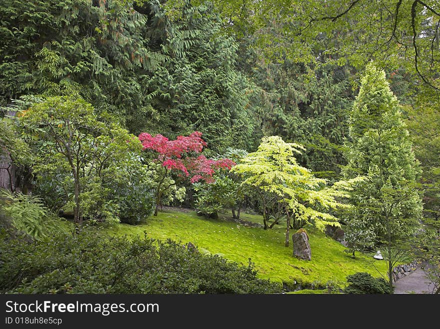 A path for tourists among blossoming trees and bushes in the well-known park