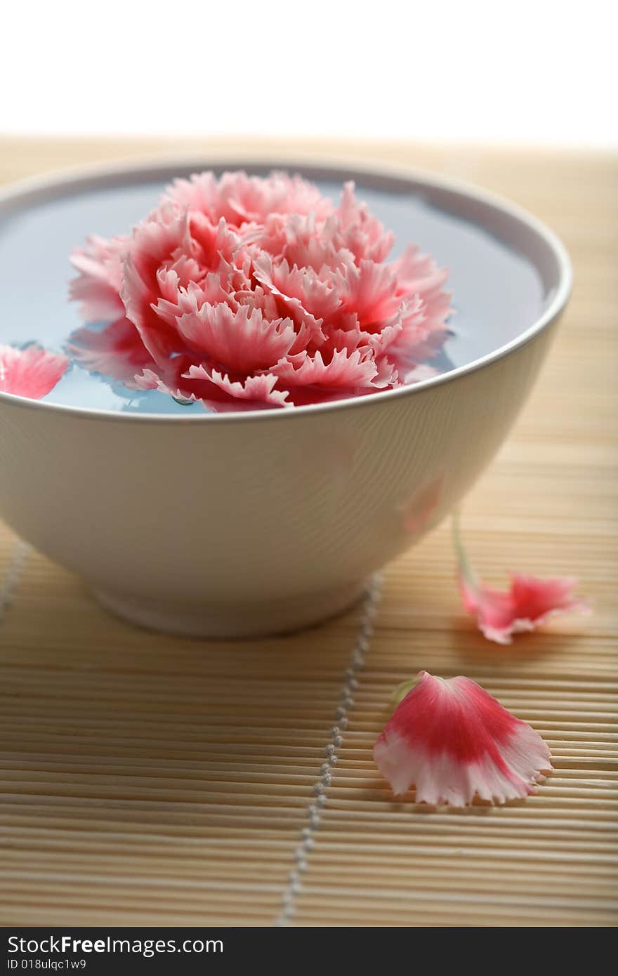 Flower floating in white bowl