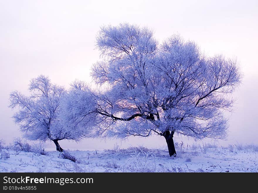 Rime in rime island Northeast China