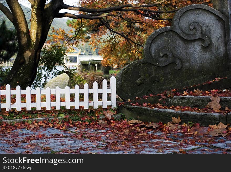 The step with a lot of autumn leaves. The step with a lot of autumn leaves.