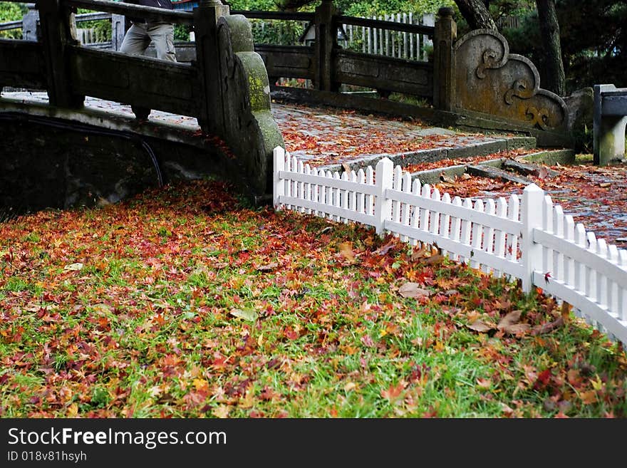 The step with a lot of autumn leaves. The step with a lot of autumn leaves.