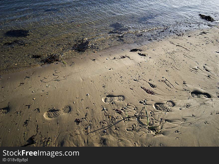 Coastline Shoe Prints. Shoe prints in the coastline sand in Denmark