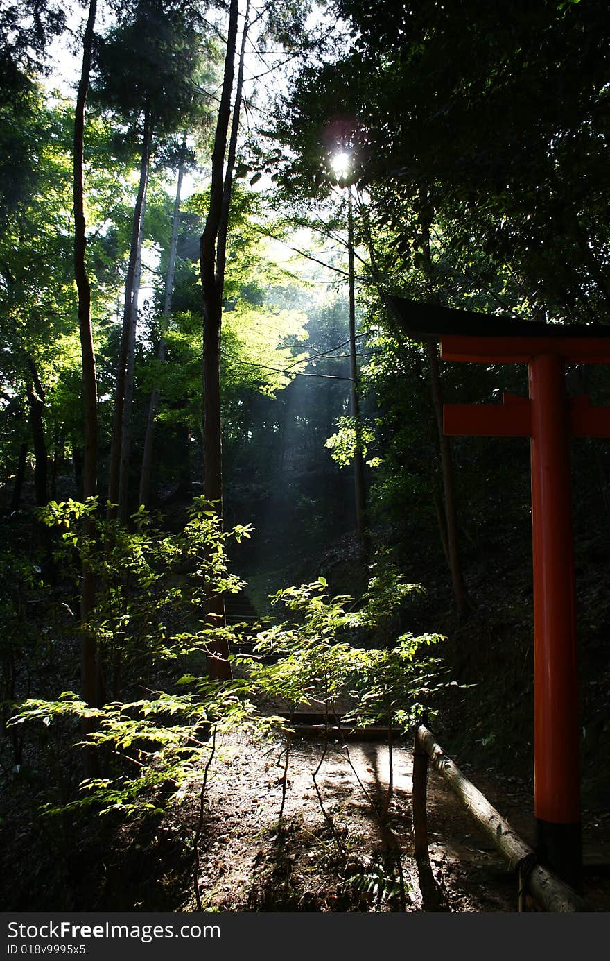 Japanese traditional garden with sun rays going through the trees with part of Tori gate. Japanese traditional garden with sun rays going through the trees with part of Tori gate