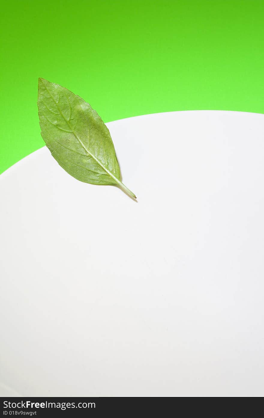 A basil leave and a white plate. A basil leave and a white plate