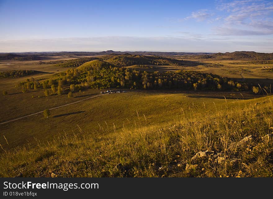 Grassland at dawn