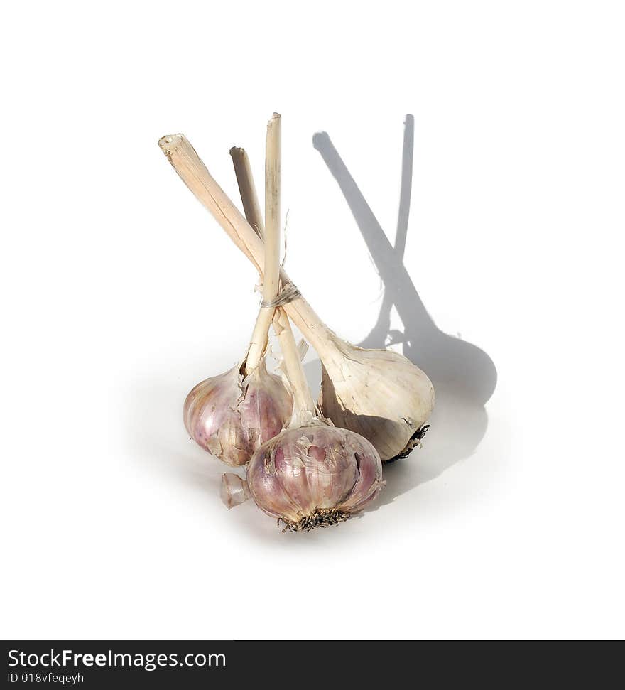 Garlic bulbs