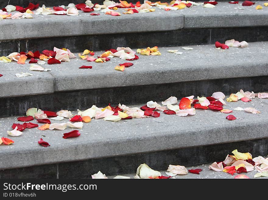 Stairs covered with rose leaves