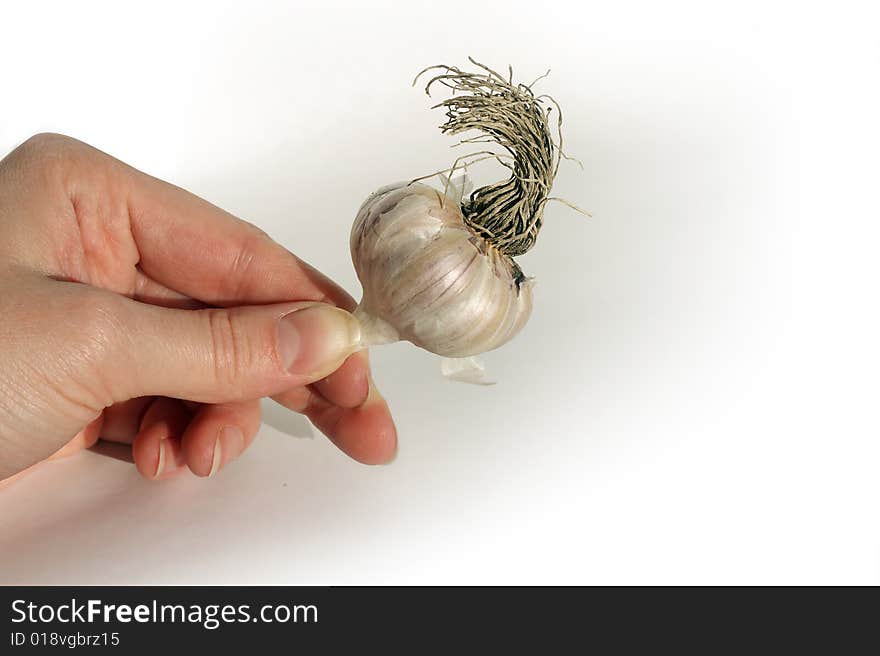 A woman's hand holding a funny garlic bulb. A woman's hand holding a funny garlic bulb