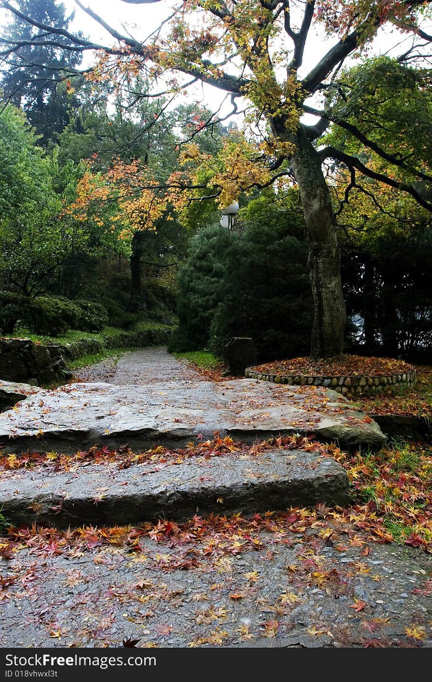 The autumn path of garden