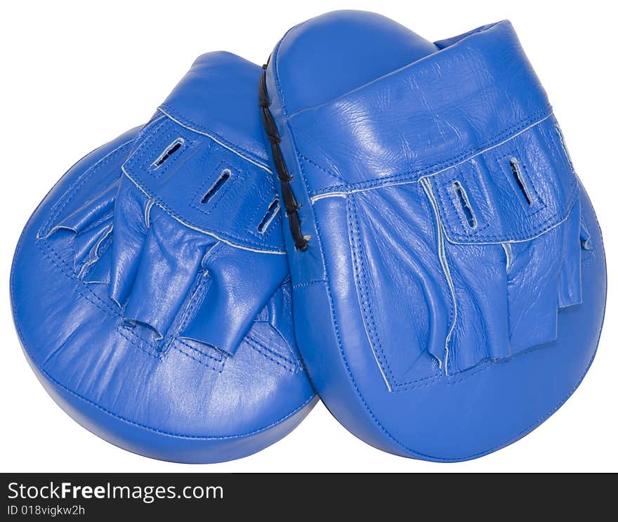 Boxing Mitts