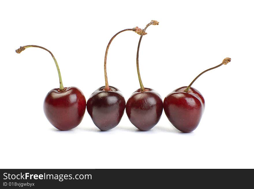 Four Fresh Cherry