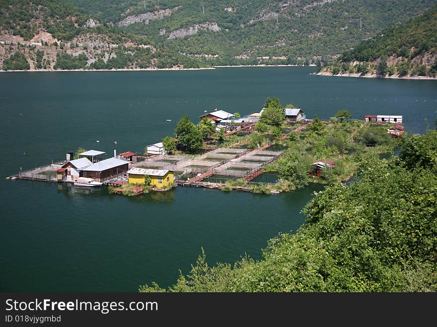 Breeding-pond in mountain lake