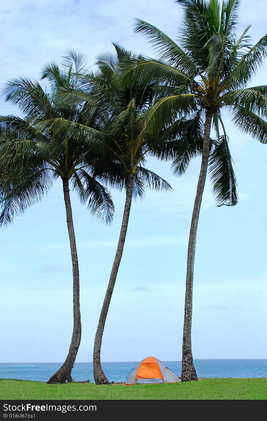 Tent under palm trees on the island of Kauai Hawaii