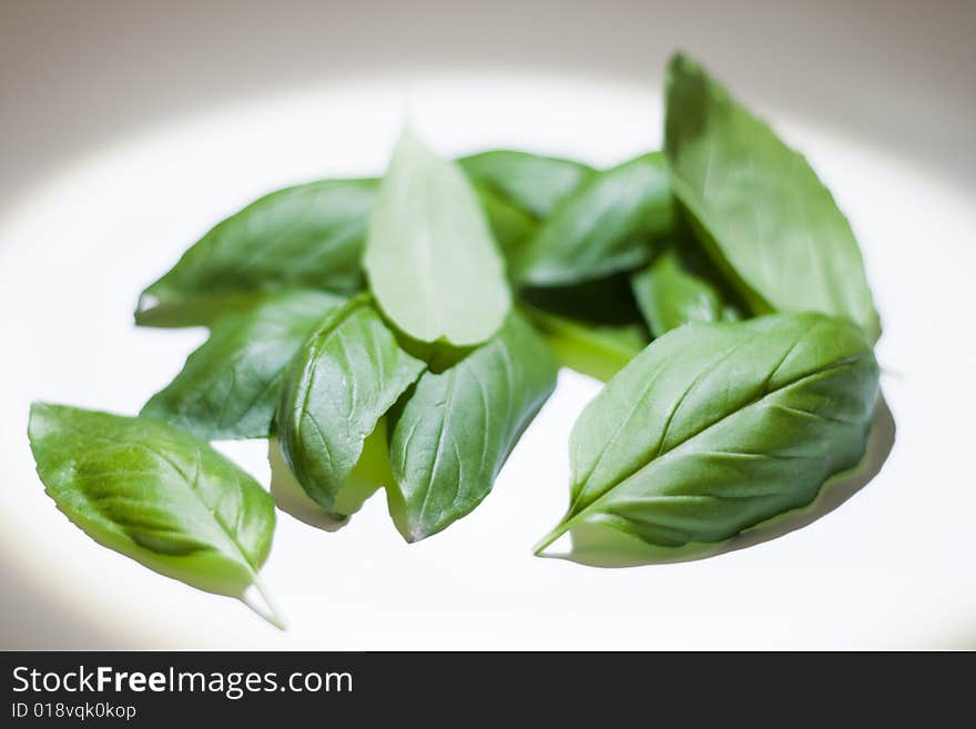 Basil leaf on white background. Basil leaf on white background.