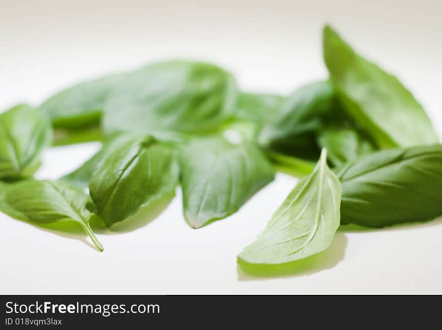 Basil leaf on white background. Basil leaf on white background.