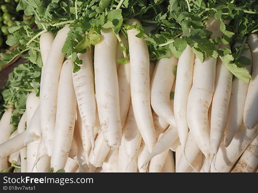 Indian white radishes, raw used in salads