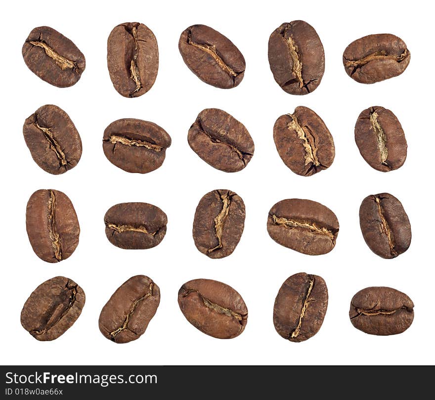 Coffee Beans Inner Side Cutout