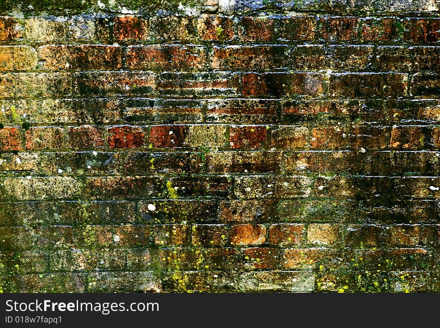 A brick wall being used as a background.