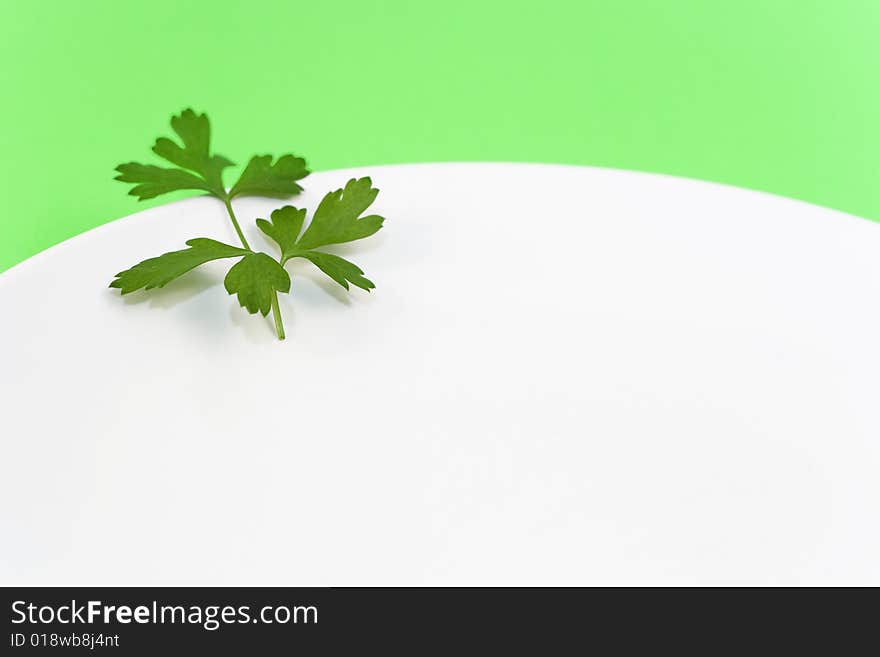 Green leaf on white background. Green leaf on white background.